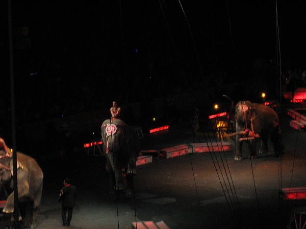 june08 022.jpg